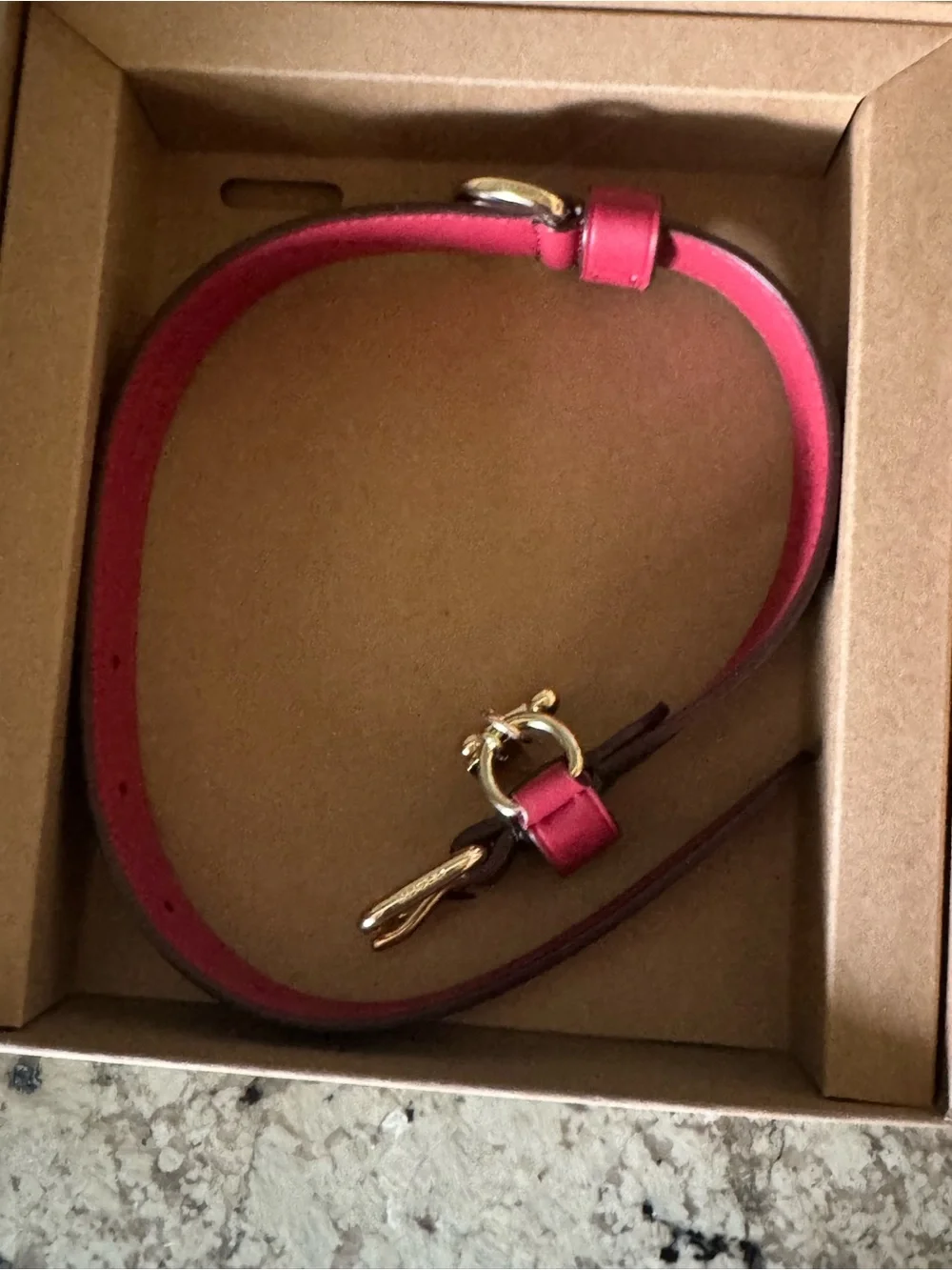 NWT Coach Signature Leather Dog Collar Brown Red Gold w/Charm LARGE 17” - 21”